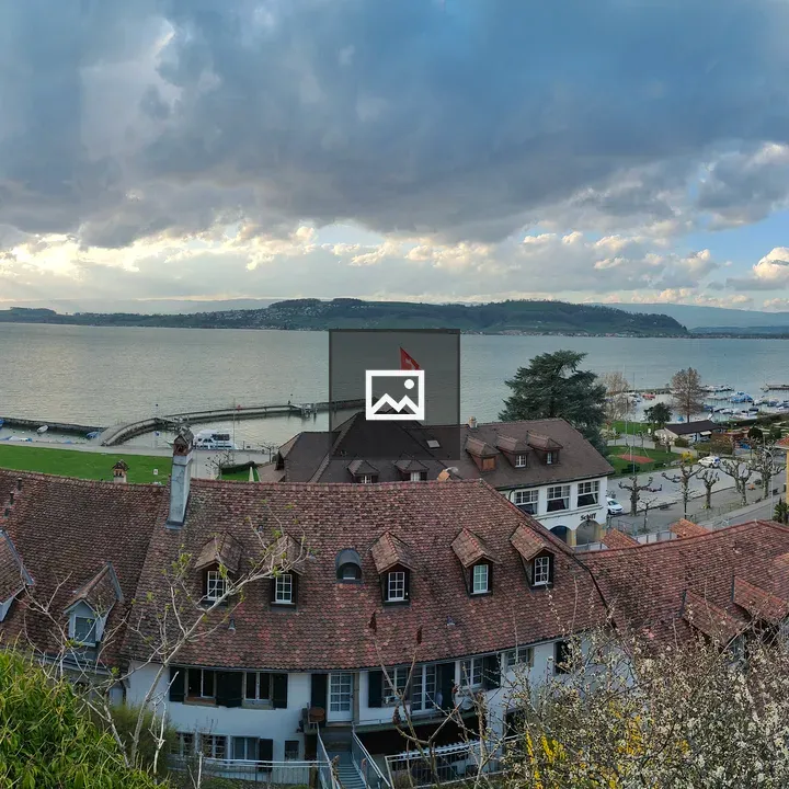 Murten Lake Panorama