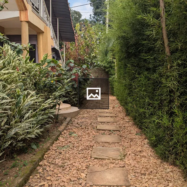 Narrow Green Pathway with Stone Stepping Stones