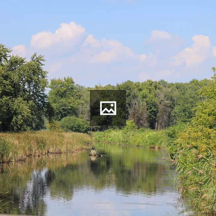 Stream in Central New York