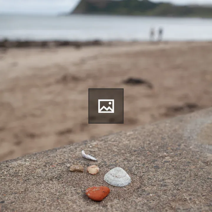 Shells with Beach in Background