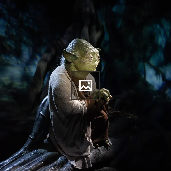 Yoda on a log