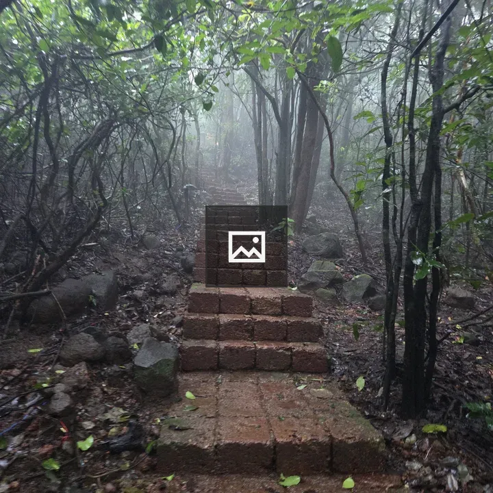 Forest stairs in dense greenery