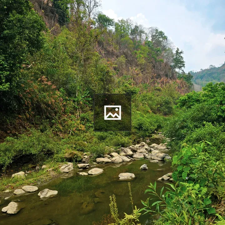 Serene stream in Bandarban hills