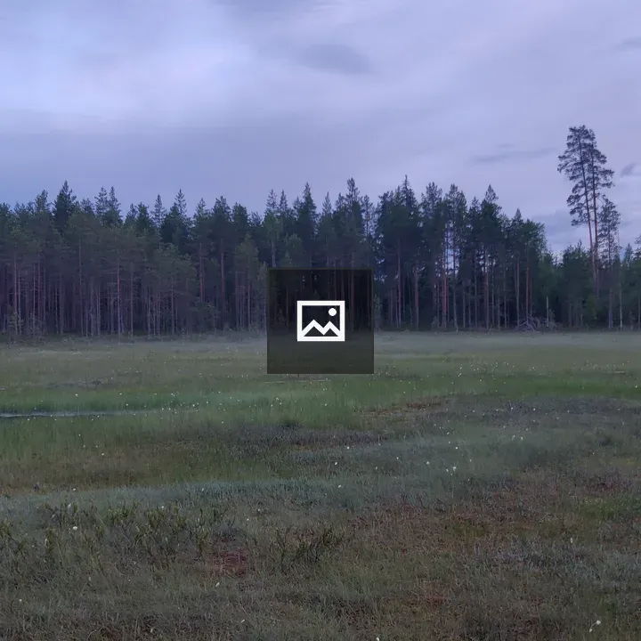 Swamp at Finnish Nightless Night