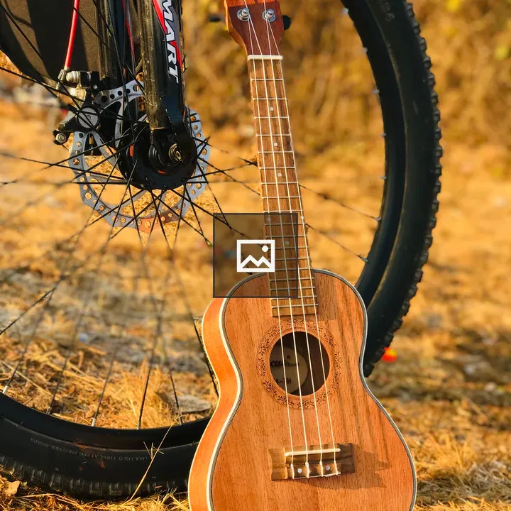 Ukulele and bicycle on grass