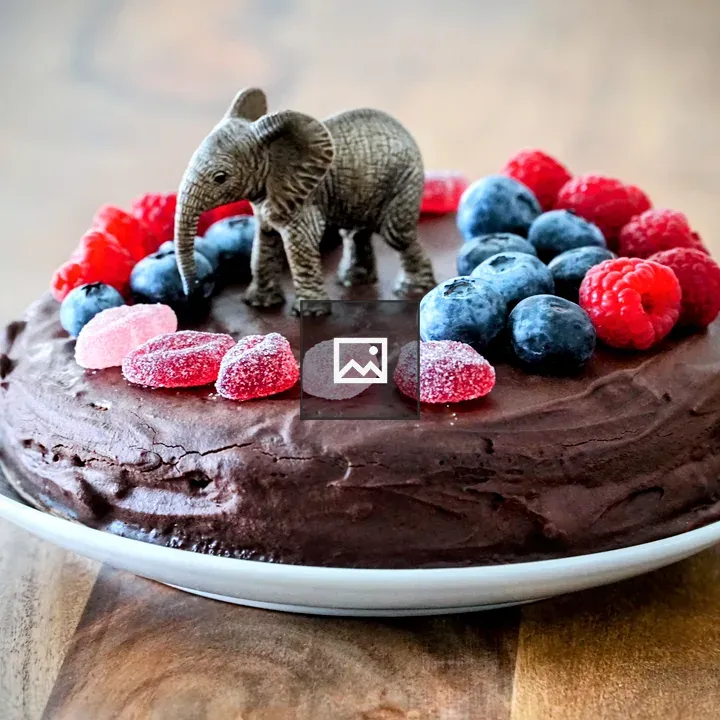 Vegan Birthday Cake with Elephant Figurine