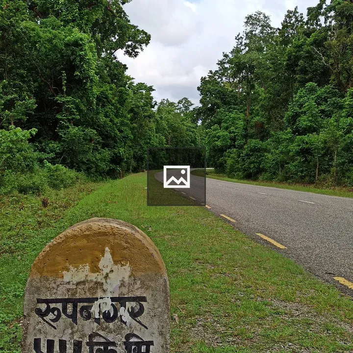 Stone road sign in forest