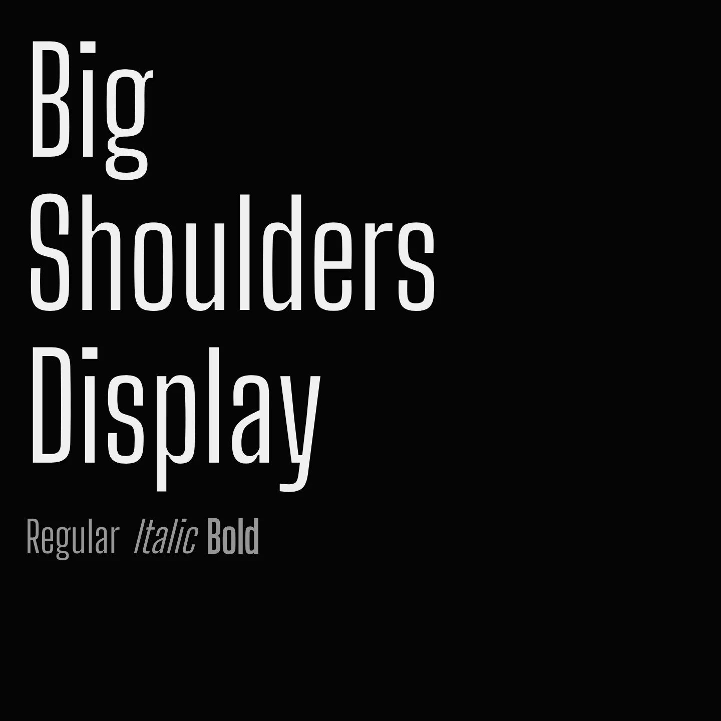 Big Shoulders Display