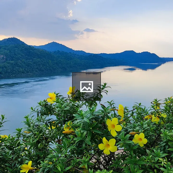 River landscape with flowers