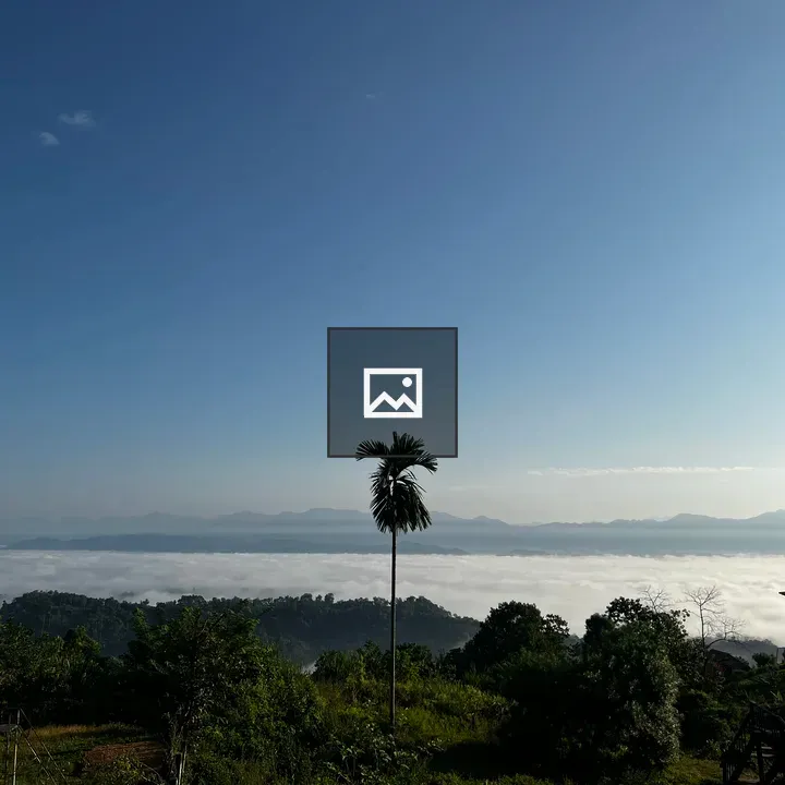 A lone tree in landscape