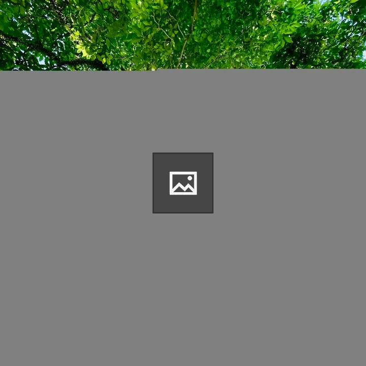 Tree with Parasites at Titiwangsa Lake Park