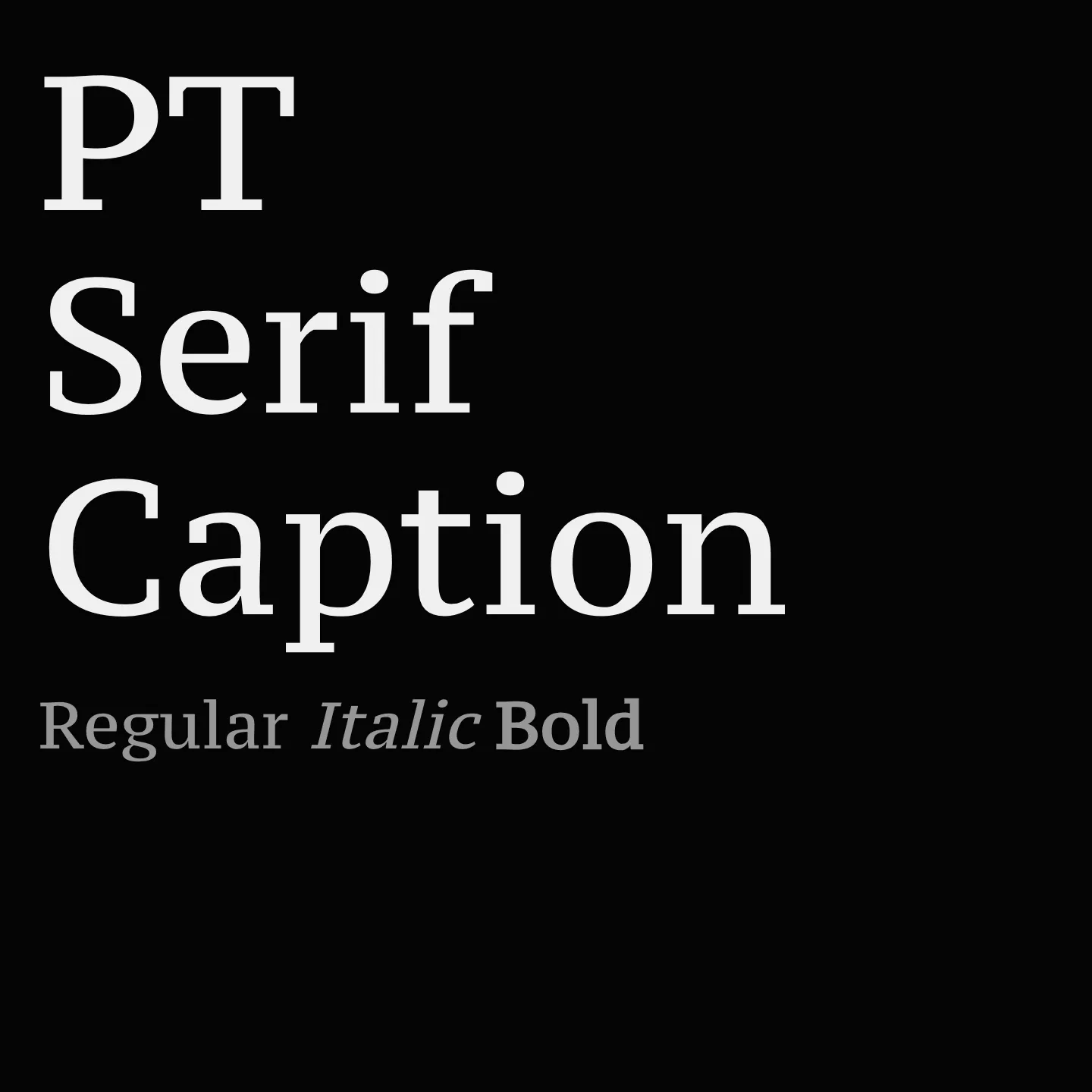 PT Serif Caption