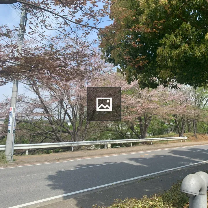 Cherry Trees at Community Center