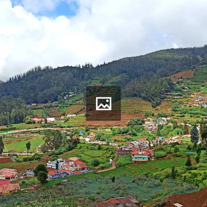 Ooty tea factory landscape