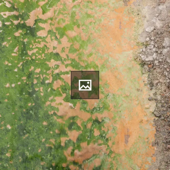 Yellowstone Slime