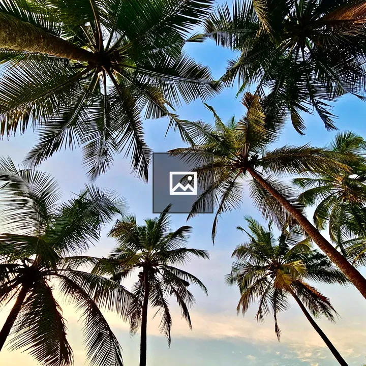 Coconut Trees at Kadalundy Kadavu Beach