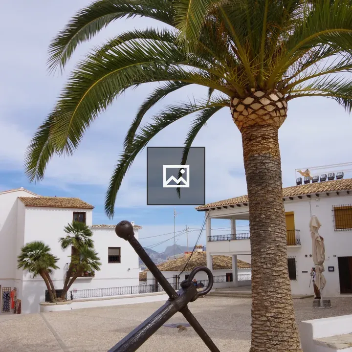 Palm Tree and Anchor