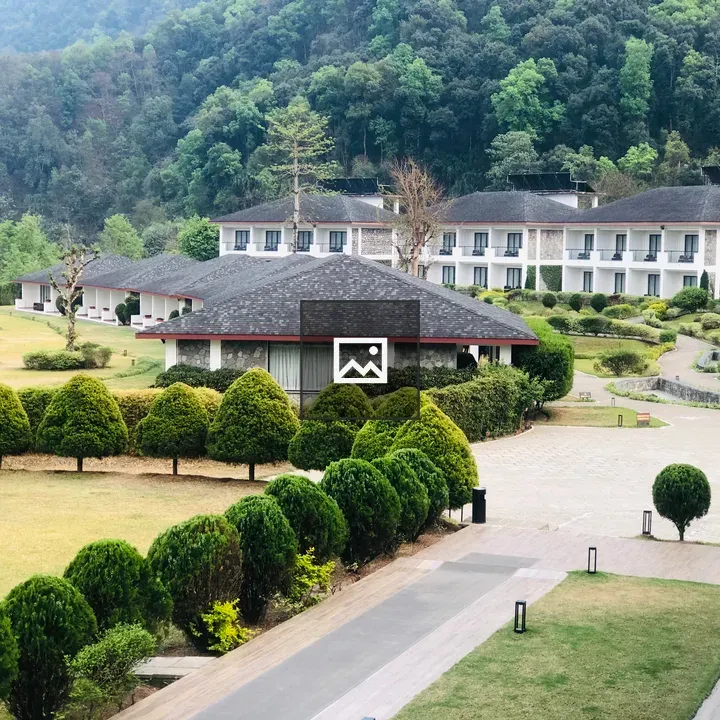 Landscaped hedge view