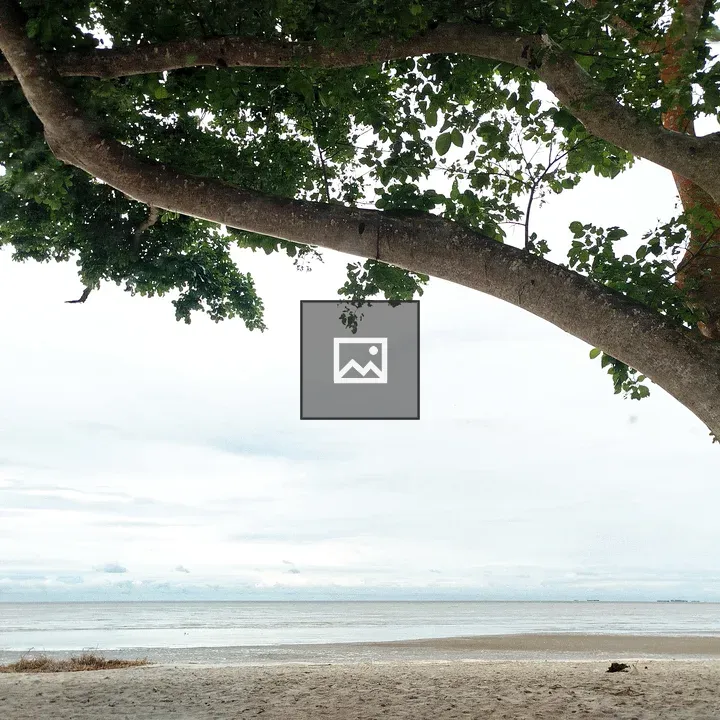 A tranquil Morib Beach tree