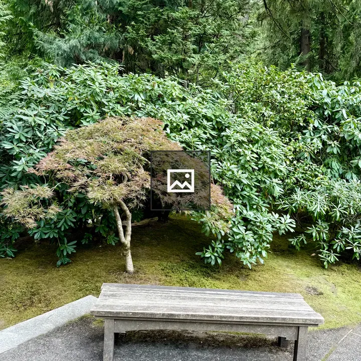 Bench beside greenery at Portland Japanese Garden