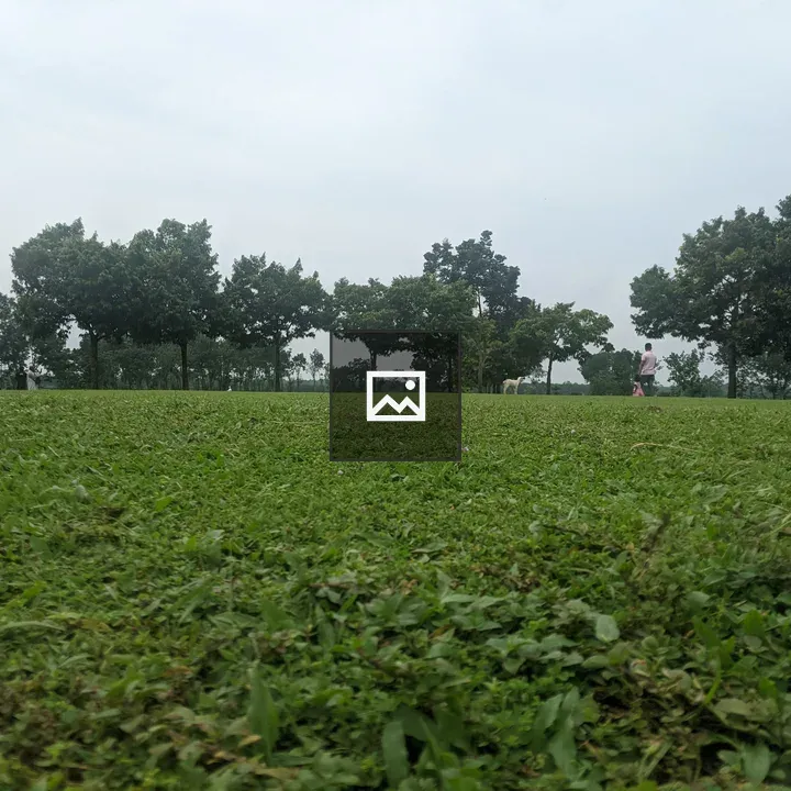 Green field and trees with distant figure