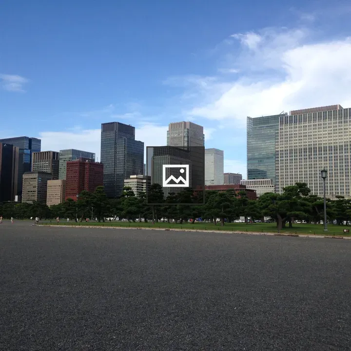 Downtown Tokyo Skyline