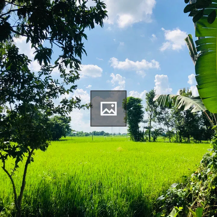 Green field at forest edge