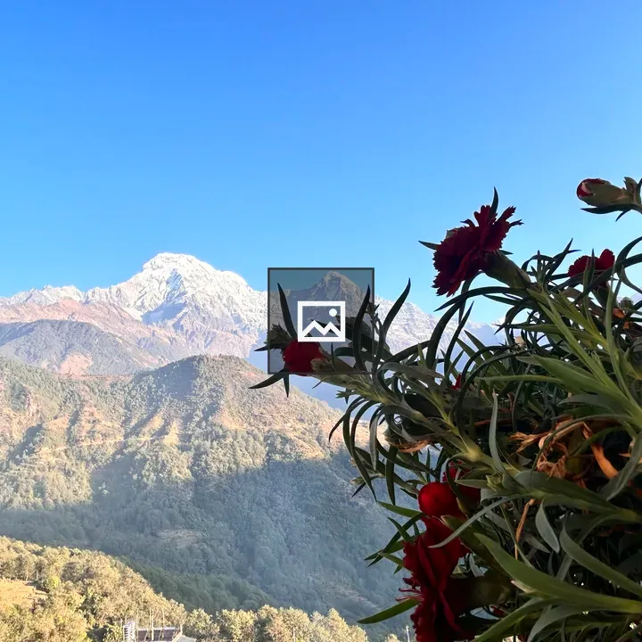 Flowers with Mountain Backdrop