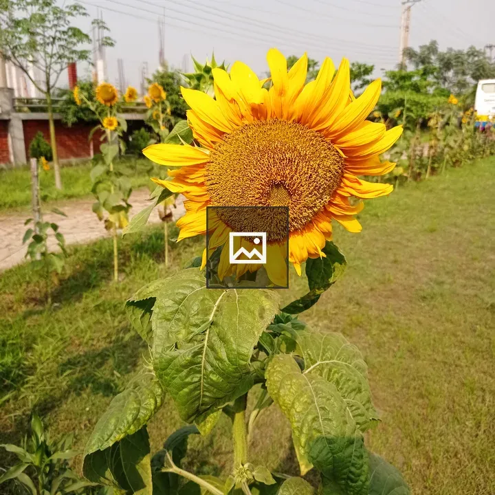 Somewhere in Eastern University Bangladesh