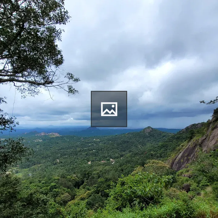 Lush green landscape from mountain view
