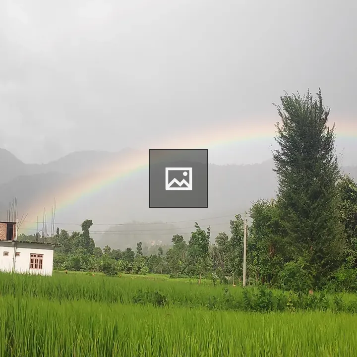 Rainbow over grass and trees