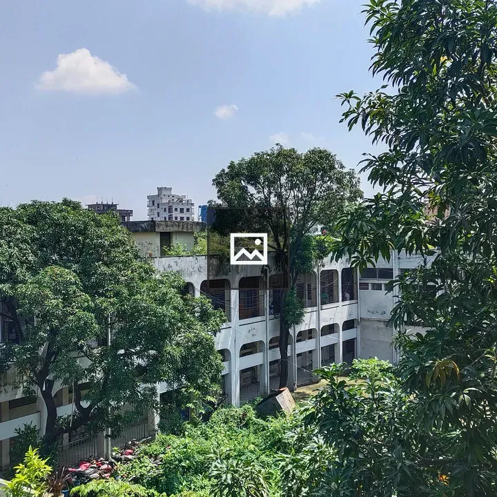 Courtyard with Trees and Building