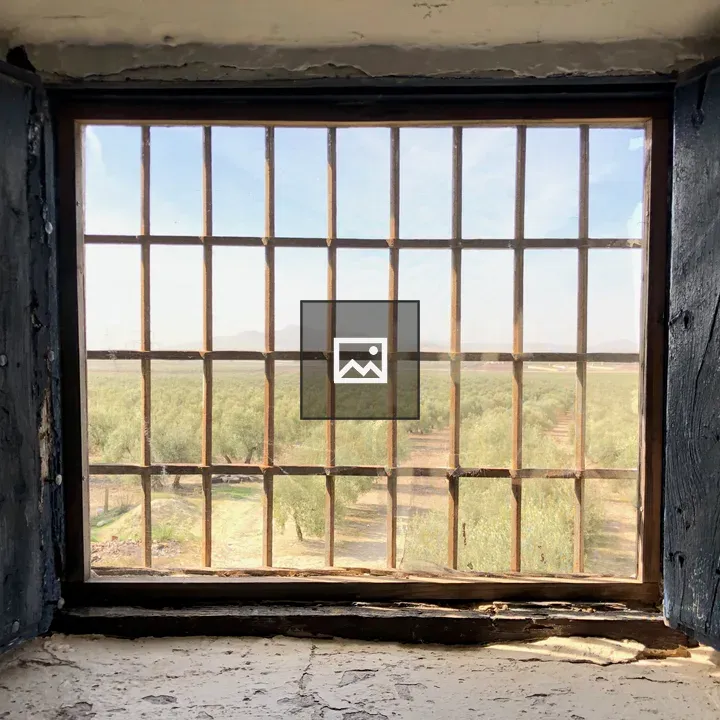 Rustic Window with Olive Landscape