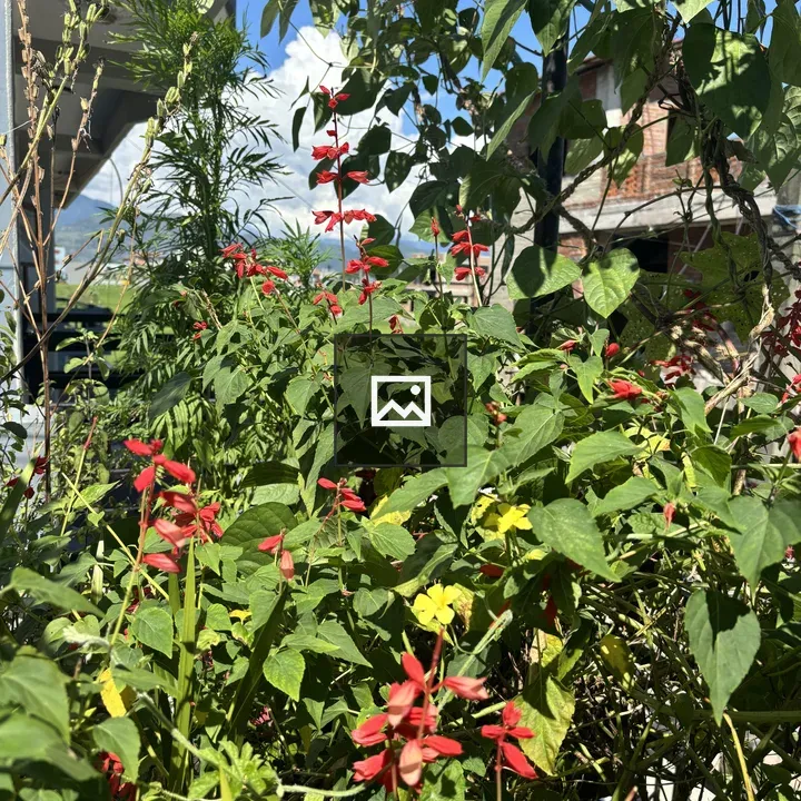 Garden with Green Leaves and Flowers