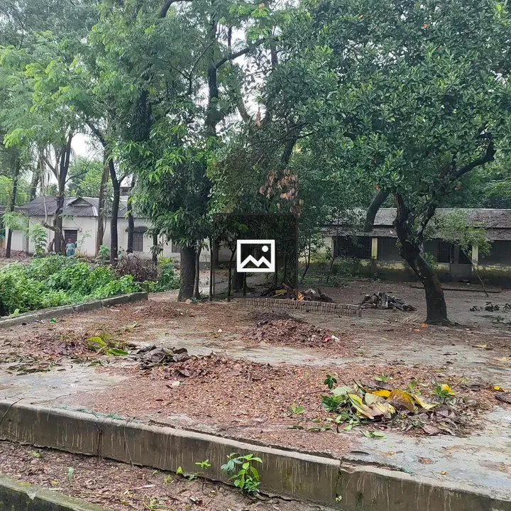 Village green spaces and buildings