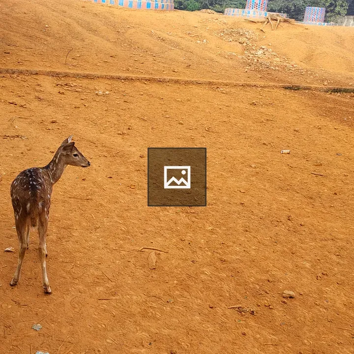 Deer in Landscape
