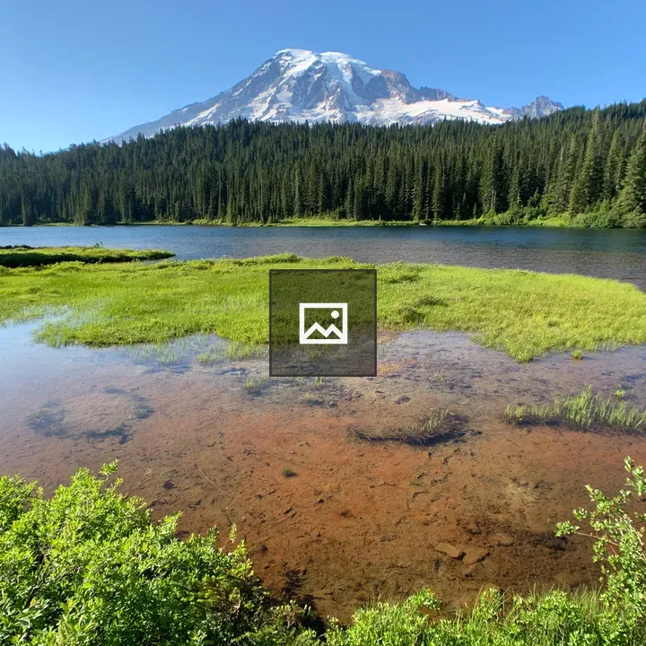 Meadow and Ponds With Mount Rainier
