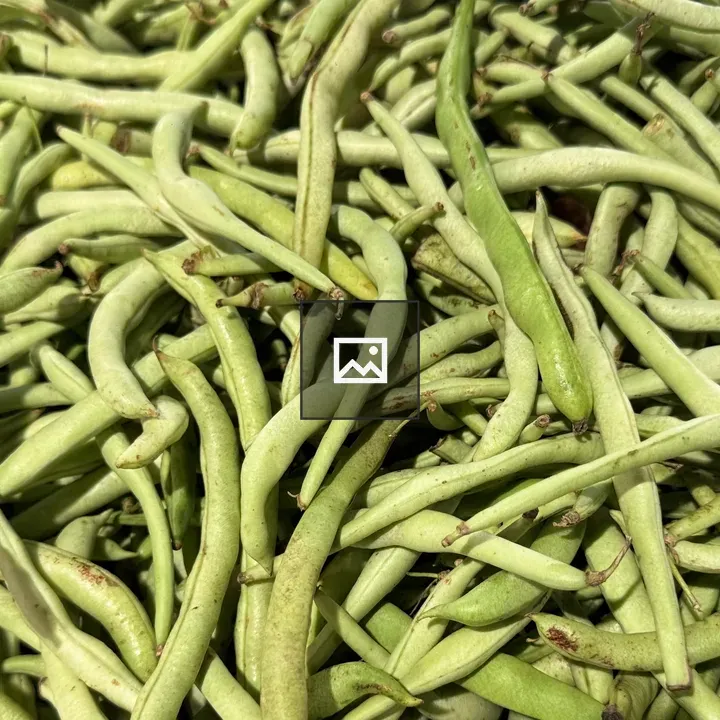 Fresh green beans pile