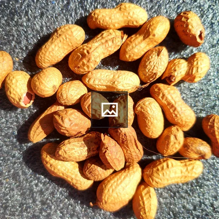 Unshelled Peanuts on Surface