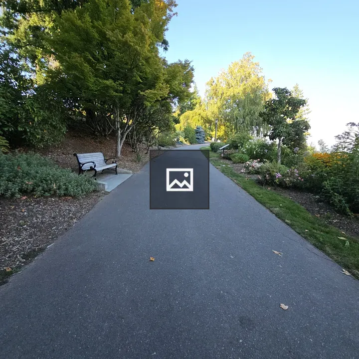 Pathway with Trees and Bench