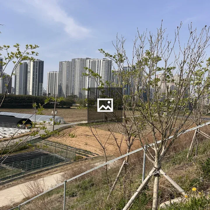 Trees and Buildings Scenic View