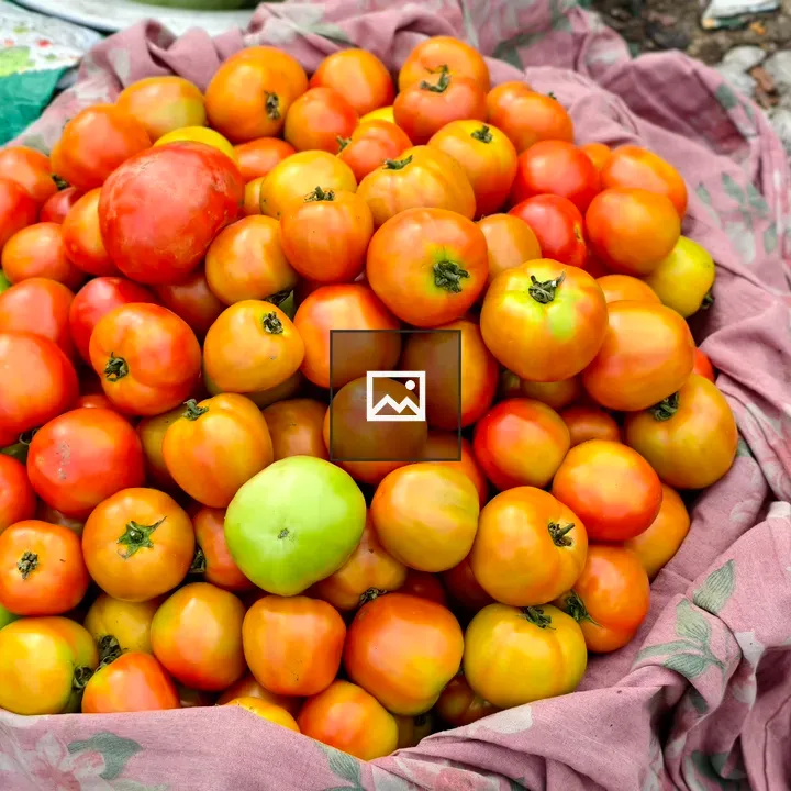 Top-down Tomato Pile on Pink Cloth