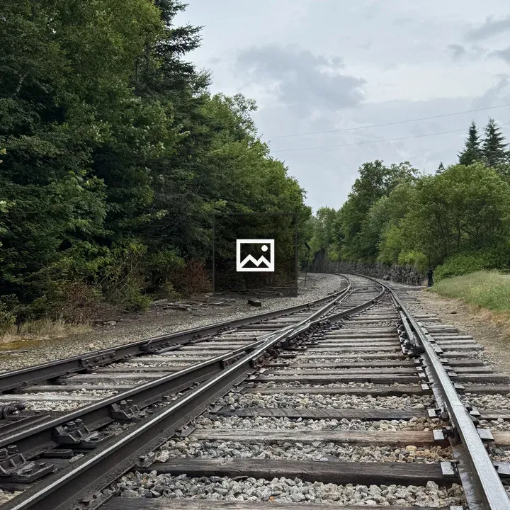 Railway Tracks Through Forest