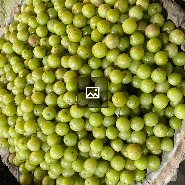 Gooseberries on Cloth