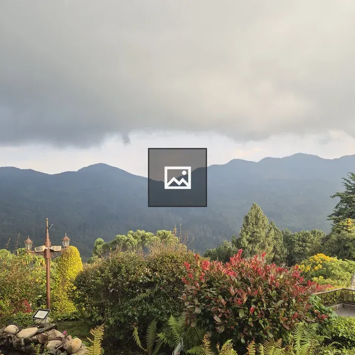 Vegetation under cloudy sunset sky