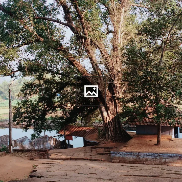 Tree and old buildings by a pond
