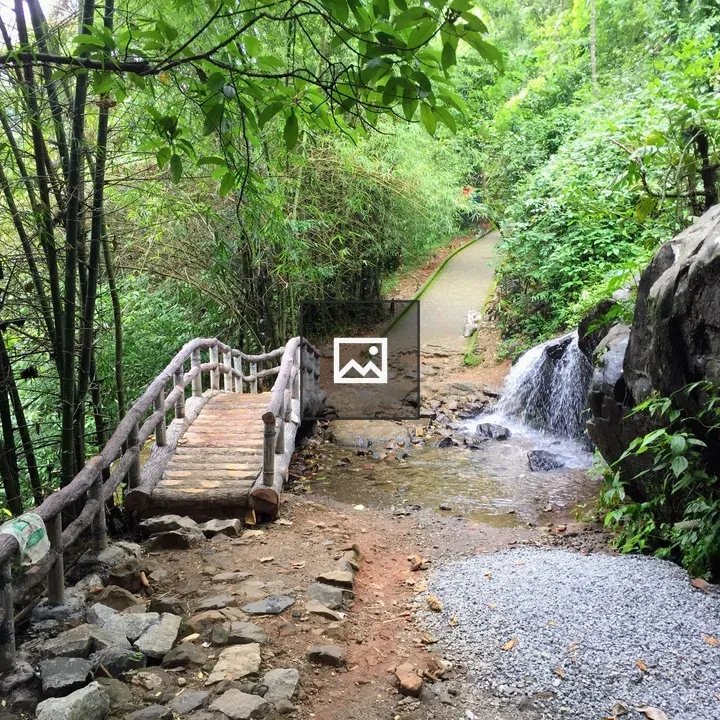 Bridge over a creek at waterfall