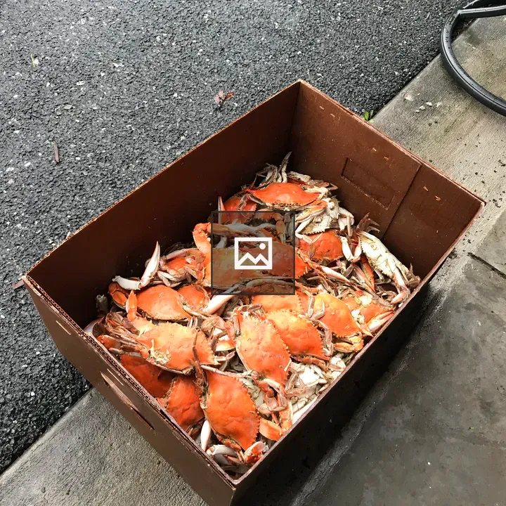 Box of steamed blue crabs
