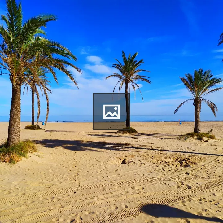 Palm Trees on the Beach
