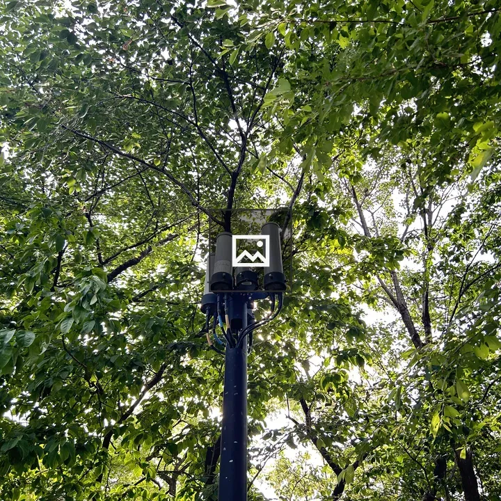 Tall streetlight among green trees